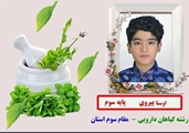 کسب مقام سوم استان در در رشته طراحی پوستر گیاهان دارویی